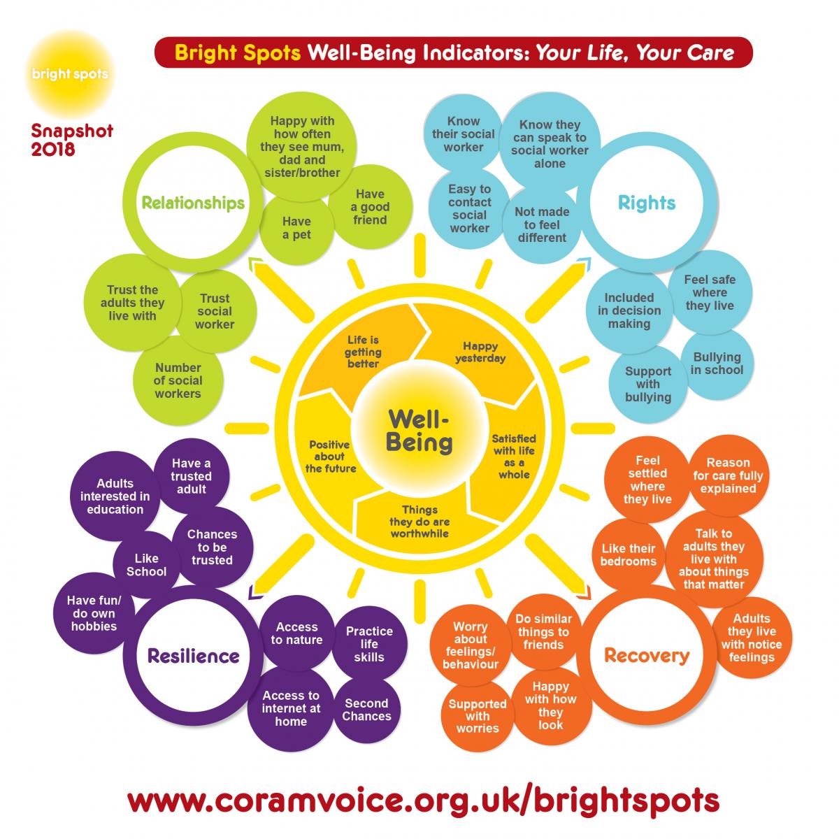Bright Spots wellbeing indicators