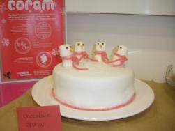 Christmas cake backed by Mace staff to raise funds for Coram